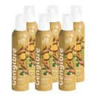 Pack 6 Espumas spray para drinks Begin Gengibre 200g