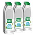 Pack 6 unidades Água de Coco Integral Campo Largo 900ml - Kit com 6x900ml