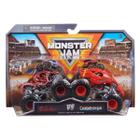 Pack com 2 Carrinhos Monster Jam 1:64 Sunny