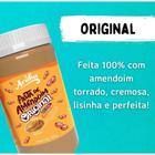 Paçoca Cremosa Aruba Zero 450g