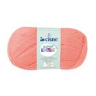 Pacote 5 Lã Cisne Super Bebe 100g TEX 214 467m 100% acrilico