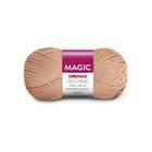 Pacote 5 Lã Magic 100g Circulo Tex 434 230 metros 100% acrilico (cores vibrantes)