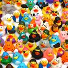 Pacote com 60 brinquedos Rubber Duck WQTHE para crianças e bebês