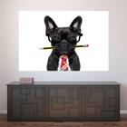 Painel Adesivo de Parede - Cachorro - Pet Shop - 776png