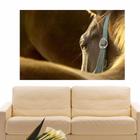 Adesivo de Parede 28x27cm - Cavalo Desenho Cartoon Horse Des em Promoção na  Americanas