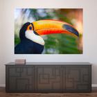 Painel Adesivo de Parede - Tucano - Animais - 1674pnp