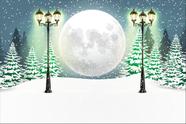 Painel de Lona Cenário Lua Cheia Feliz Natal na Floresta de Pinheiro