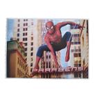 Painel Decorativo Pratica Homem Aranha 3un