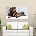 Painel Fotográfico Adesivo Cachorro Gato 04 Grande 90X135Cm