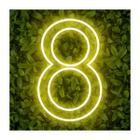 Painel Neon Numero oito 8 Instagram Iluminação 30 Cm - Bloom