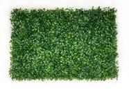 Painel Quadro Verde Folhagem Buxinho Jardim Vertical Artificial - BF