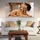 Painel quadros mosaico cachorros e gatos(pet) med. 105x65 ps 2mm adesivo fosco borda infinita