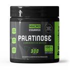 Palatinose 300g - Macrophytus