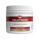 Palatinose - 300g - Vitafor