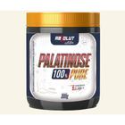 Palatinose 300gr - Absolut Nutrition 2