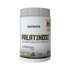 Palatinose 400g Repositor Energético Nutrata