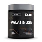 Palatinose dux  400g