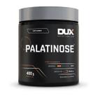 Palatinose Dux Sem Sabor 400g