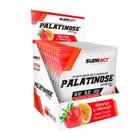 Palatinose em Sachê Sudract 15 Sachês 15g Display Carbo