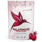 Palatinose para pré treino