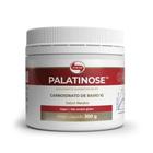 Palatinose pote 300 gramas Vitafor