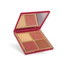 Palette Multifuncional Cor 01 Niina Secrets Luminous 12g