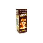 Palito Dental Gina 100 Und