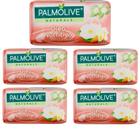 Palmolive sabonete hidratante naturals óleo nutritivo são 5 unidade de 150 gramas