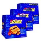 Panettone Charge Chocolate E Caramelo Kit 3 Un Nestlé 450G