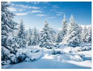 Pano de fundo de estúdio fotográfico DHXXSC 7X5FT Snow Fir Forest