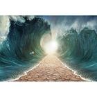 Pano de fundo fotográfico Baocicco Moses Divided Sea Pathway 1,8x1,2 m