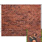 Pano de fundo fotográfico LFEEY Red Brick Wall 3x2,5 m de vinil