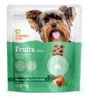 Papaya pets fruits detox acabaxi/maca/hortela 300gr