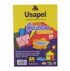 Papel a4 Criativo 120gm2 8 Cores 25062 / 24fl / Usapel