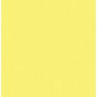 Papel cartao 60x42 210g amarelo 7704 / 20fl / griffe