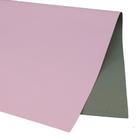 Papel Cartão Fosco 48X66CM 200G Rosa Claro - Pacote com 20 Unidades