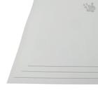 Papel Color Pop 180g A4 (branco neve) 25 Folhas