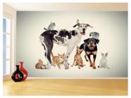 Papel De Parede 3D Animais Cão Gato Petshop 3,5M Anm413