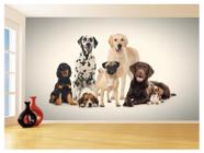 Papel De Parede 3D Animais Cão Gato Petshop 3,5M Anm419