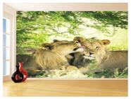 Papel De Parede 3D Animais Leão Família Casal 3,5M Anm514