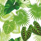 Papel de Parede Adesivo Floral Com Folhas Tropicais Verdes