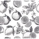 Papel De Parede Adesivo Lavável para Sala/Cozinha/Área externa - Fruta Branco E Preto - Jacaré Brinquedos