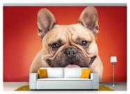 Papel De Parede Animais Bulldog Rindo 3D Anm148