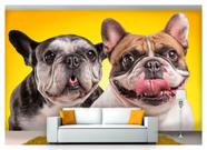 Papel De Parede Animais Casal Cachorros 3D Anm152