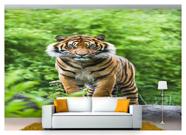 Papel De Parede 3D Animais Tigre Rosto Olhando 3,5M Anm558 - Você