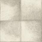 Papel de Parede Club Animal Skin 425901 - Rolo 10m x 0,53m - RASCH