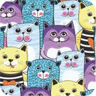 Papel De Parede Gatinhos Gatos Infantil Kit 02 Rolos A400