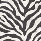 Papel de Parede Natural FX Wild Zebra G67491 - Rolo: 10m x 0,53m