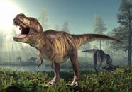 Papel De Parede Paisagem Infantil Dinossauro GG141