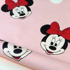 Papel de Parede Vinílico Importado Infantil Minnie